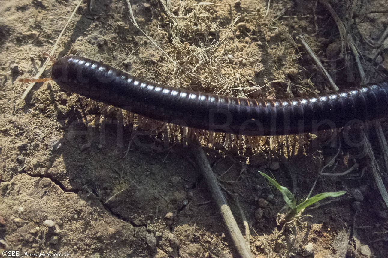 PB110283